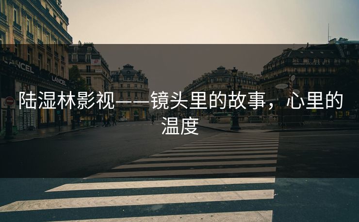 陆湿林影视——镜头里的故事，心里的温度