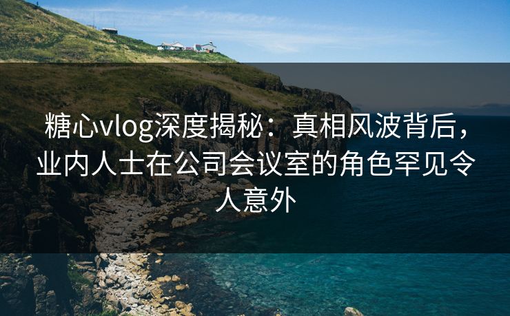 糖心vlog深度揭秘：真相风波背后，业内人士在公司会议室的角色罕见令人意外