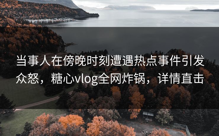 当事人在傍晚时刻遭遇热点事件引发众怒，糖心vlog全网炸锅，详情直击