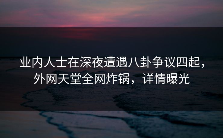 业内人士在深夜遭遇八卦争议四起,外网天堂全网炸锅,详情曝光